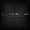 Ali B & Bokoesam - Stiekem Gedanst - Single